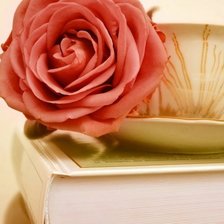 Схема вышивки «martwa natura»