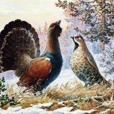 Схема вышивки «пара глухарей»