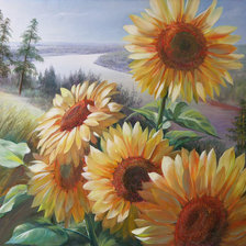 Схема вышивки «Подсолнухи»