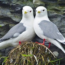 Схема вышивки «Голубки»