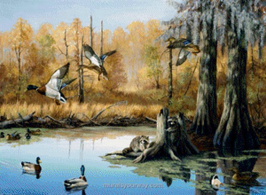 Утки и еноты - еноты, утки, картина, пейзаж - предпросмотр