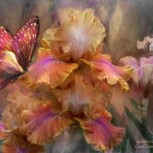 Схема вышивки «Красота»