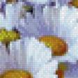 Предпросмотр схемы вышивки «Ромашки» (№566769)