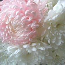 Схема вышивки «№566796»