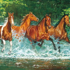 Схема вышивки «бегущие»