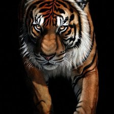 Схема вышивки «Тигр»