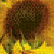 Предпросмотр схемы вышивки «подсолнухи» (№566992)