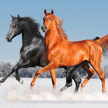 Схема вышивки «Пара коней»