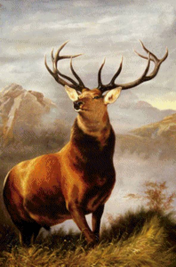 Прекрасный олень - животные, олень, природа - предпросмотр