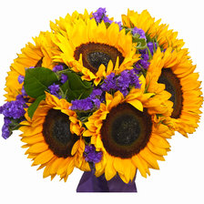 Схема вышивки «подсолнухи»