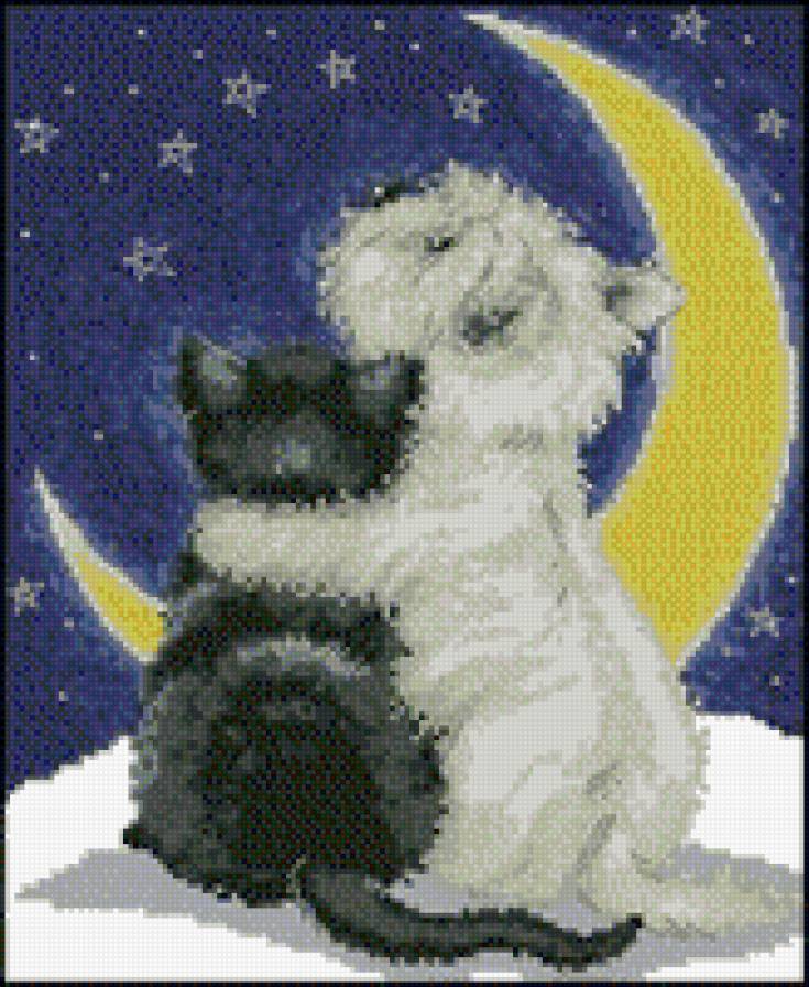 котята - ночь, котята, месяц - предпросмотр