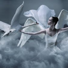 Схема вышивки «pure harmony»