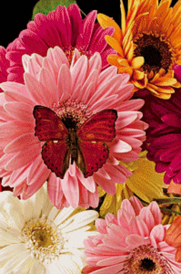 прекрасные герберы - картина цветы - предпросмотр