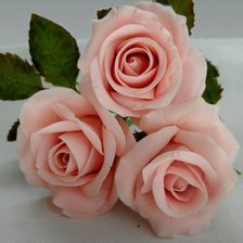 Схема вышивки «№567333»