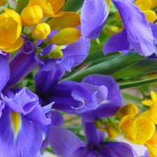 Схема вышивки «№567347»