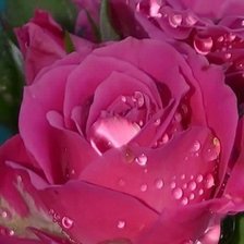 Схема вышивки «№567425»