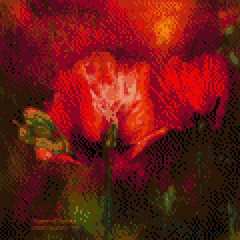 roza-krolowa kwiatow 2 - przyroda, roza, kwiaty - предпросмотр