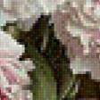 Предпросмотр схемы вышивки «пионы в вазе» (№567619)