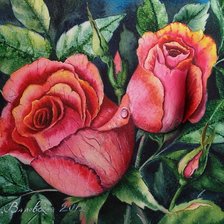 Схема вышивки «Розы»