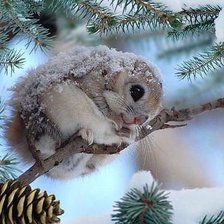 Схема вышивки «раз холодною зимой»