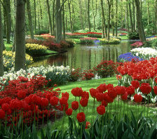 Красота природы