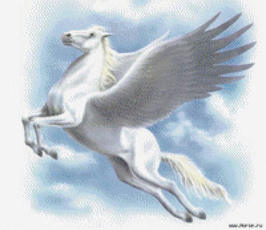 пегас - лошади - предпросмотр