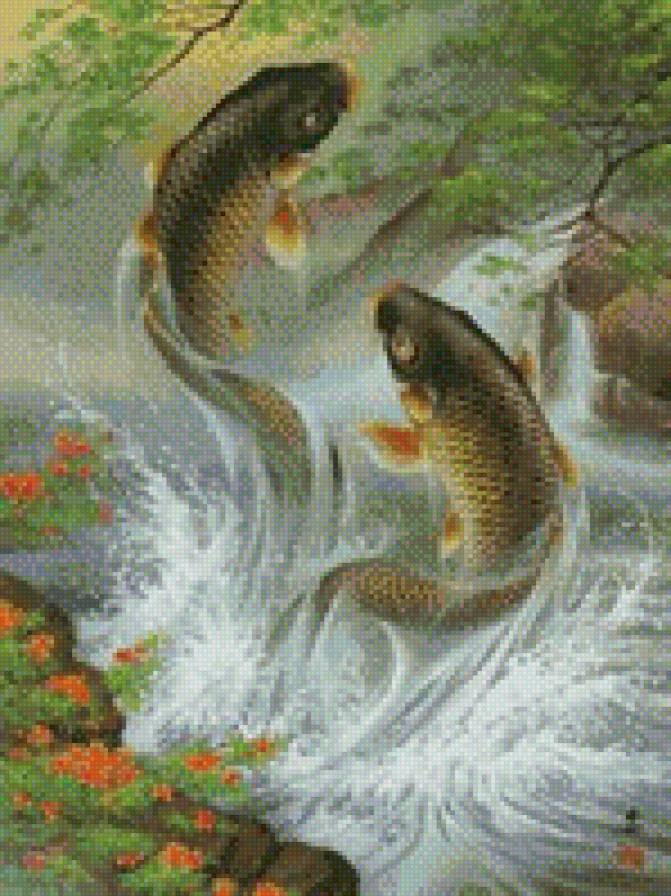 карпы - рыбы - предпросмотр