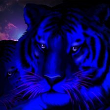 Схема вышивки «tiger»