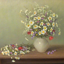 Полевые цветы