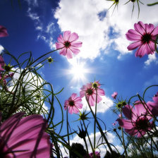 Схема вышивки «Взгляд в небо»