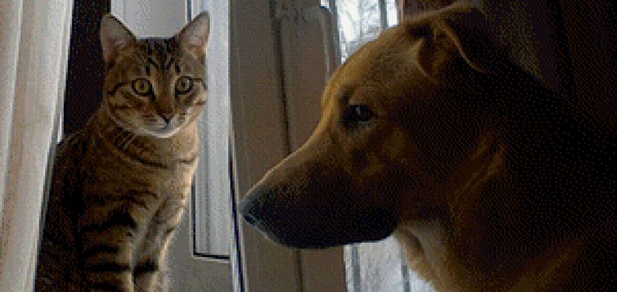 Малыши - друзья, котенок, животные, собака - предпросмотр