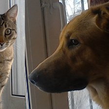 Схема вышивки «Малыши»