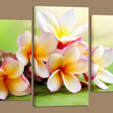 Схема вышивки «Триптих цветы»