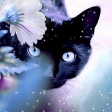 Схема вышивки «ва»