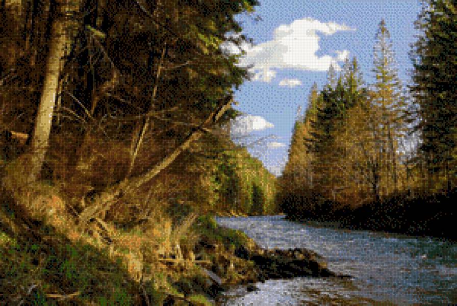 Первозданный лес - ручей, лес - предпросмотр