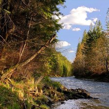 Схема вышивки «Первозданный лес»
