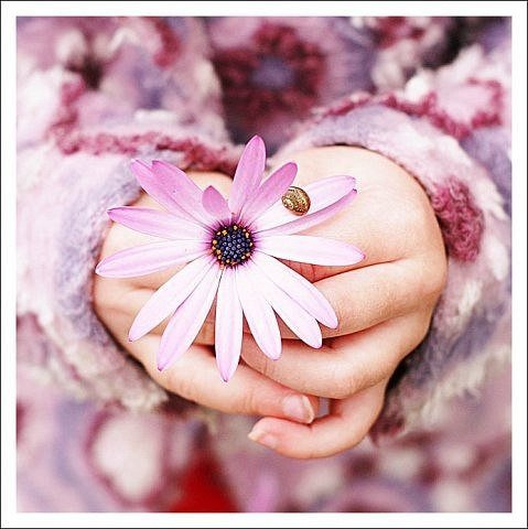 мило - оригинал