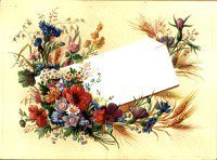 Схема вышивки «№568294»