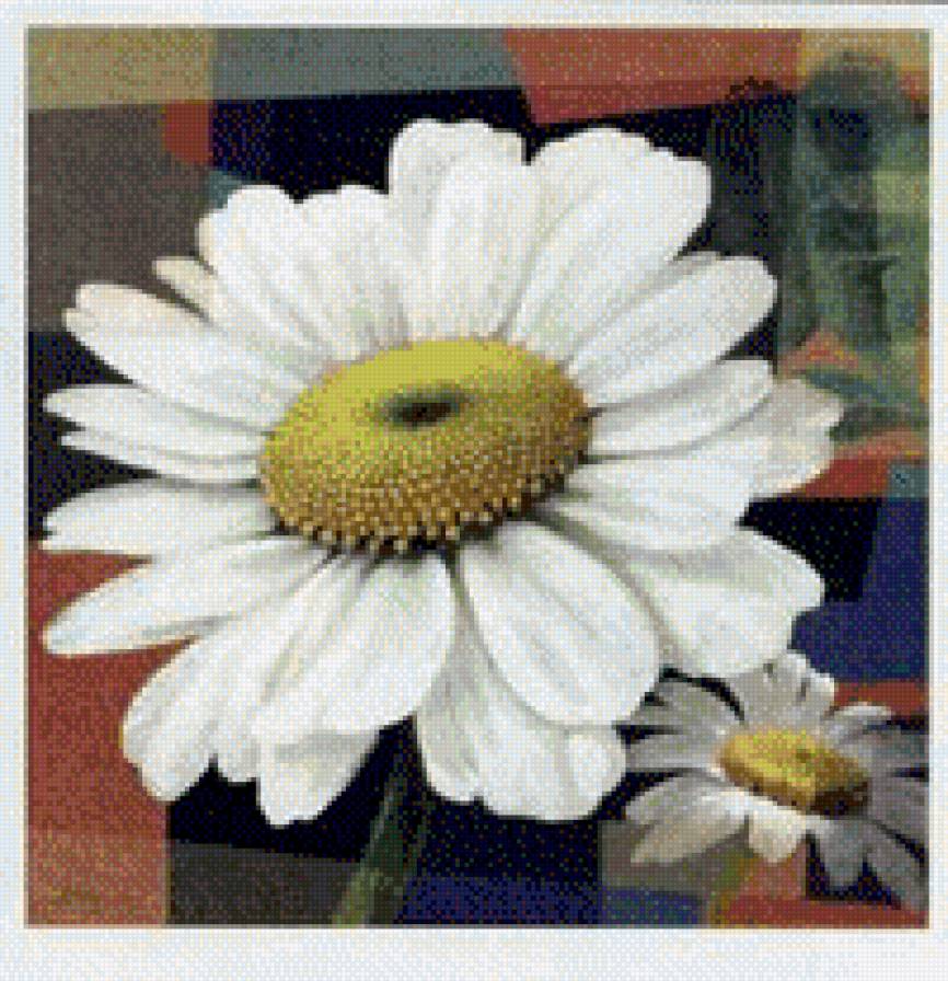 ромашка - цветы, картина - предпросмотр