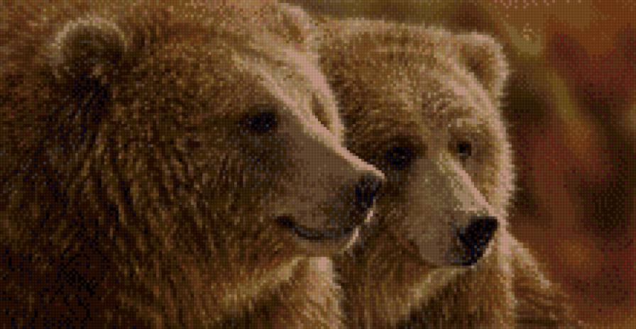 Праздное спокойствие - бурые, любовь, медведи - предпросмотр