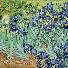 Схема вышивки «Ирисы»