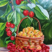 Схема вышивки «Черешня»