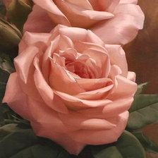 Схема вышивки «роза»