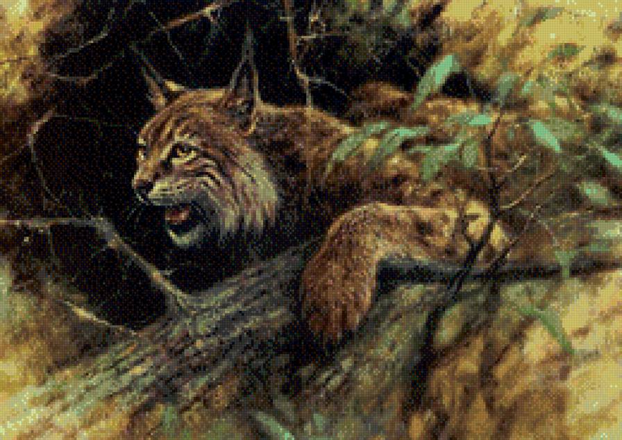 рысь - рысь, живопись, пуртвлиет, животные - предпросмотр