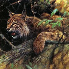 Схема вышивки «рысь»