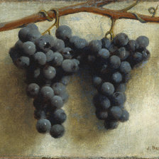 Схема вышивки «№568686»