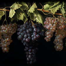 Схема вышивки «№568696»