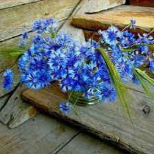 Схема вышивки «васельки»