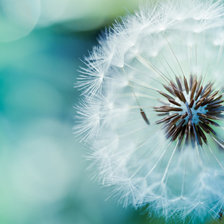 Схема вышивки «2»