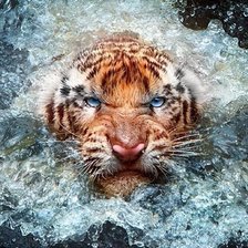 Схема вышивки «№568895»